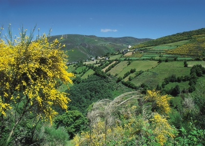 Tag 14 l Arzúa - Rúa (19 km, 300 hm)