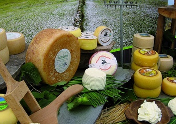 cabrales-kaese-asturien-