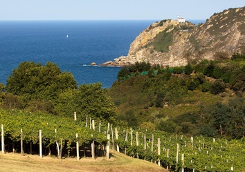 Aussicht von den Weinbergen bei Getaria über die baskische Atlantikküste in Nordspanien.
