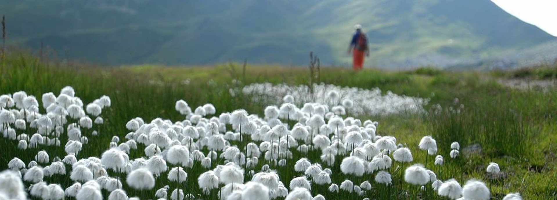 Wanderreisen im eigenen Rhythmus