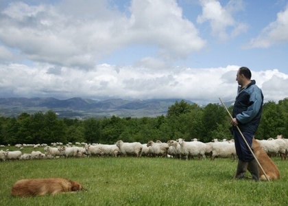 Tag 4 l 2. Etappe: Von Albaina nach Argómaniz – Wälder, Schluchten und Romanik