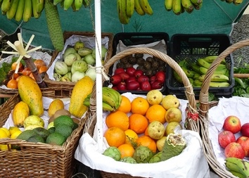 Tag 6 I Calheta – Funchal, Levada do Norte