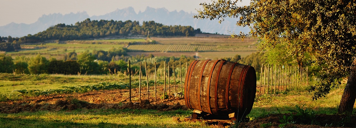 Gourmetreise Priorat und Penedés: die großen Weinregionen Kataloniens