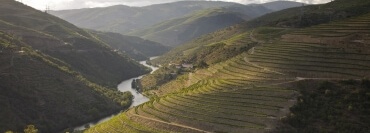 Portugal: Genusswandern durch die Douro Weinregion
