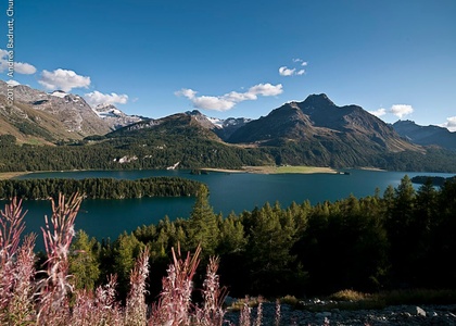 Tag 6 I Abstieg nach St. Moritz: Ins Licht des Engadins