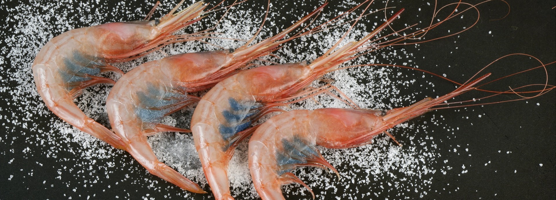 Wein + Kulinarik Genussreisen