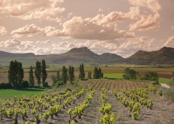 Tag 2 l Von Bilbao in die Weinlandschaft der Rioja Alavesa