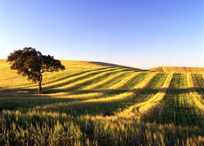 Tag 4 l Évora - Alentejo-Region - Beja