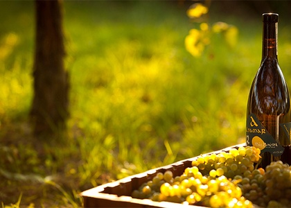 Tag 13 l Ausflug in die Rías Bajas