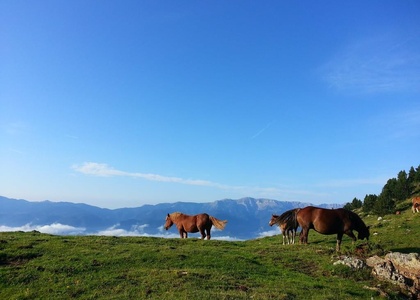 Tag 3 | Comus – Ascou  Über das Hochland von Chioula – 360° Pyrenäen